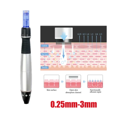 Electronic Nano/Steel Micro Needle Dermapen Auto-Stamp Motorizado Meso Derma Roller Pen Dre80